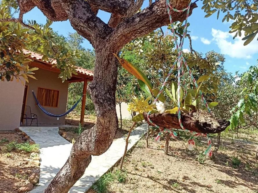Chales Cerrado De Piri Pirenópolis Esterno foto
